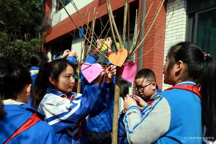 高新大源师生给地球添一抹新绿(图4)