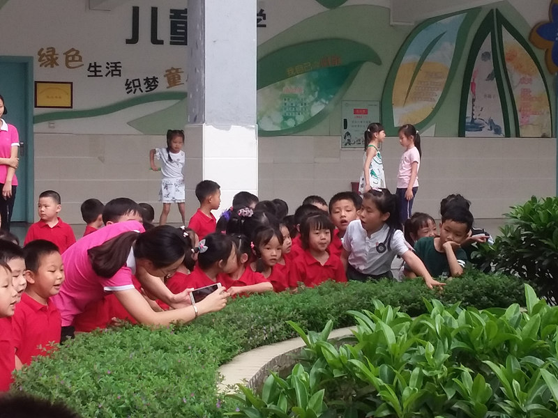 欢迎你到新光来 新光小学开展幼小衔接活动(图4)